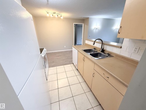 104 17003 67 Avenue, Edmonton, AB - Indoor Photo Showing Kitchen With Double Sink