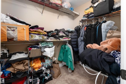 729 37A Avenue, Edmonton, AB - Indoor With Storage