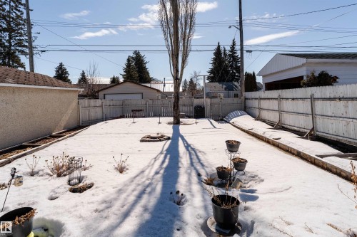 The property features a fenced yard with a central tree and areas with snow cover - 16131 109 Avenue, Edmonton, AB - Outdoor