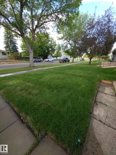 Summer Photos - 16131 109 Avenue, Edmonton, AB - Outdoor