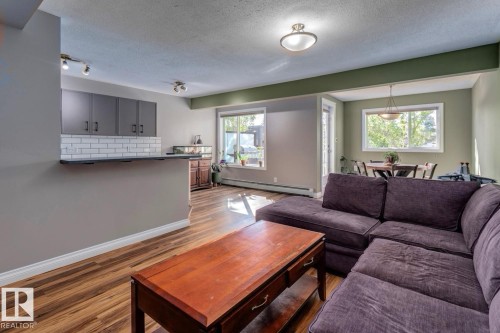 209 11033 127 Street, Edmonton, AB - Indoor Photo Showing Living Room