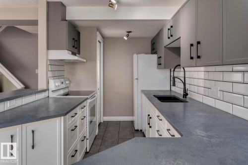 209 11033 127 Street, Edmonton, AB - Indoor Photo Showing Kitchen With Double Sink