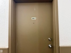 Entry door with contemporary doorknob and deadbolt - 