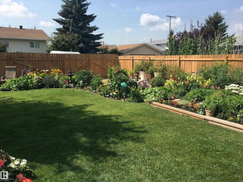 16132 100 Street, Edmonton, AB - Outdoor With Backyard