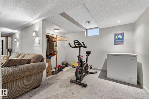 11343 67 Street, Edmonton, AB - Indoor Photo Showing Gym Room
