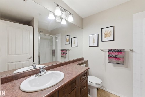 352 2096 Blackmud Creek Drive, Edmonton, AB - Indoor Photo Showing Bathroom