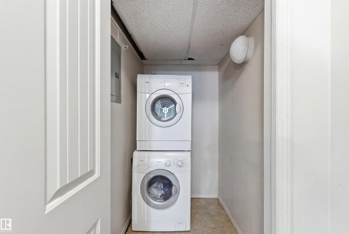 352 2096 Blackmud Creek Drive, Edmonton, AB - Indoor Photo Showing Laundry Room