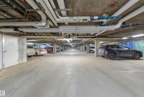 352 2096 Blackmud Creek Drive, Edmonton, AB - Indoor Photo Showing Garage