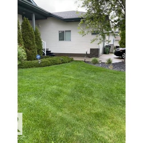 The property features a well-maintained lawn and mature landscaping, including evergreen shrubs and trees - 17204 113 Street, Edmonton, AB - Outdoor