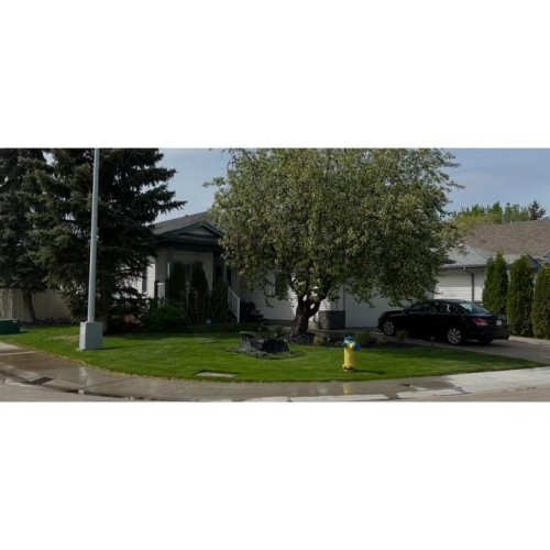 The property features a well-maintained lawn, mature trees, and a paved driveway - 17204 113 Street, Edmonton, AB - Outdoor