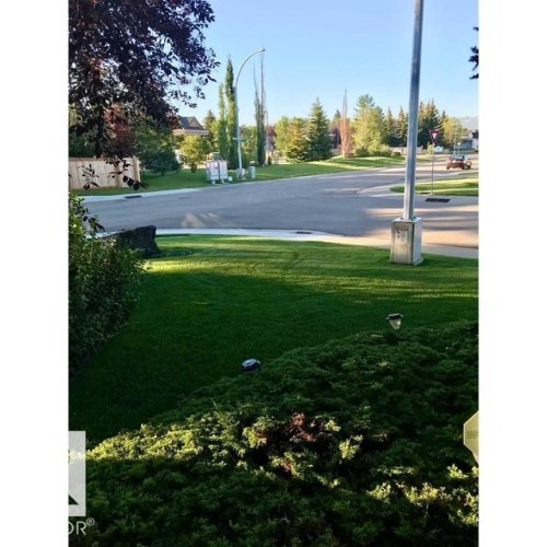 The property features a well-maintained lawn and mature shrubs, with a paved road visible from the property - 17204 113 Street, Edmonton, AB - Outdoor With View