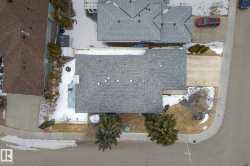The property features a grey shingled roof, a paved driveway, and established trees in the front yard - 17204 113 Street, Edmonton, AB - Outdoor