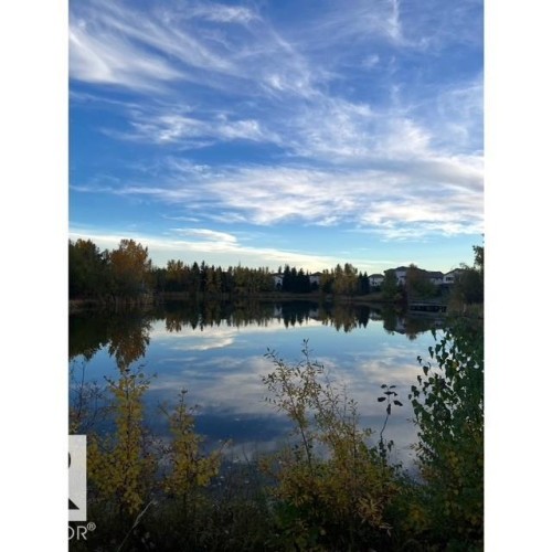 The property is located in a community with a tranquil lake, surrounded by lush trees, and features residences visible along the shoreline - 17204 113 Street, Edmonton, AB - Outdoor With Body Of Water With View