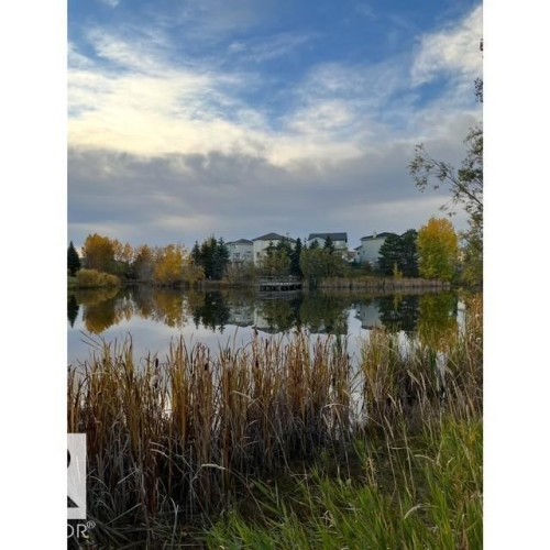 View of the water body with cattails in the foreground, featuring residential properties and trees in the background - 17204 113 Street, Edmonton, AB - Outdoor With Body Of Water With View