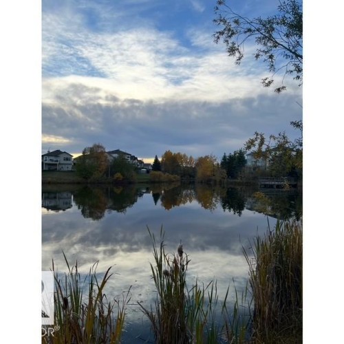 The property is situated by a body of water, featuring visible cattails and other aquatic plants in the foreground - 17204 113 Street, Edmonton, AB - Outdoor With Body Of Water With View