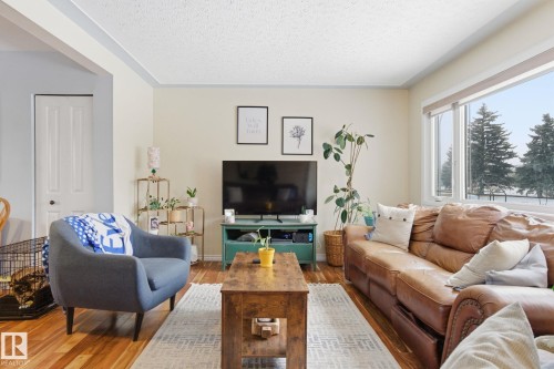12820 95 Street, Edmonton, AB - Indoor Photo Showing Living Room