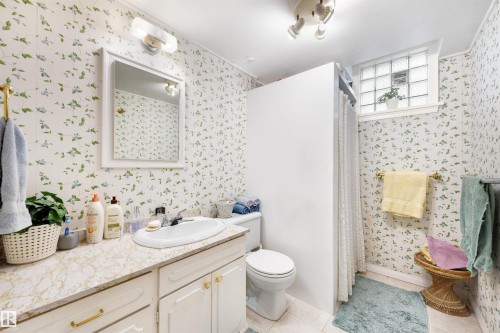 13882 Ravine Drive, Edmonton, AB - Indoor Photo Showing Bathroom