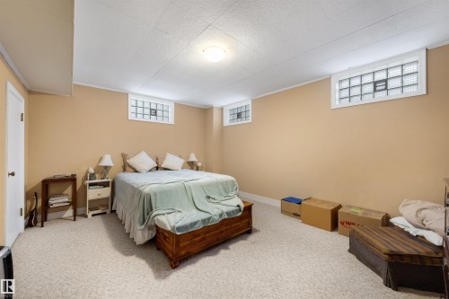 13882 Ravine Drive, Edmonton, AB - Indoor Photo Showing Bedroom