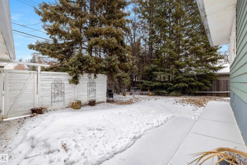 13882 Ravine Drive, Edmonton, AB - Outdoor