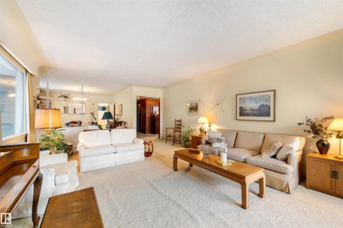 13882 Ravine Drive, Edmonton, AB - Indoor Photo Showing Living Room