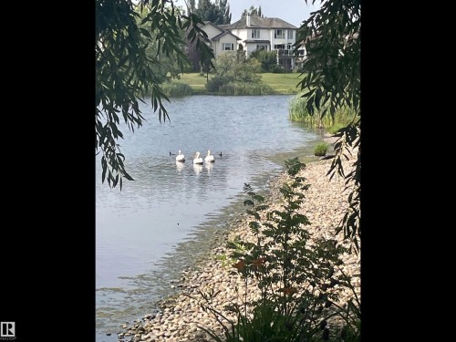 116 Twin Brooks Cove, Edmonton, AB - Outdoor With Body Of Water