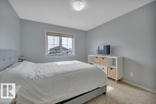 20936 95 Avenue, Edmonton, AB - Indoor Photo Showing Bedroom