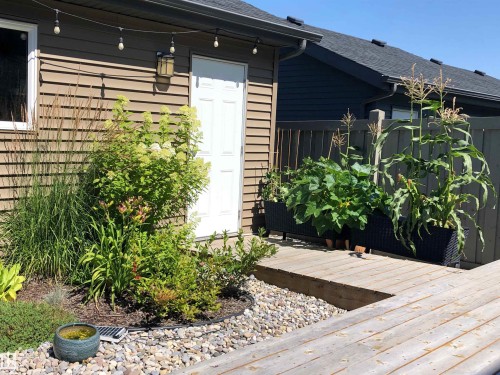 The property features a private deck area, garden beds with various plants, and a gravel landscaping area - 9084 Rosenthal Link, Edmonton, AB - Outdoor