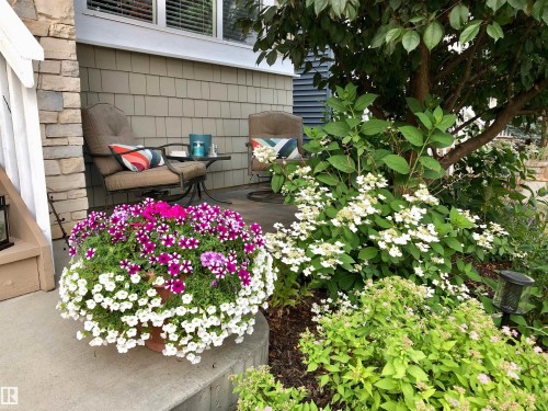 The property features an inviting front porch with seating and a stone facade column - 9084 Rosenthal Link, Edmonton, AB - Outdoor With Deck Patio Veranda