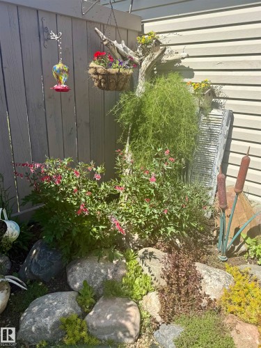 The property features a charming garden area with various plants, including flowering shrubs and ground cover - 2914 18A Avenue, Edmonton, AB - Outdoor