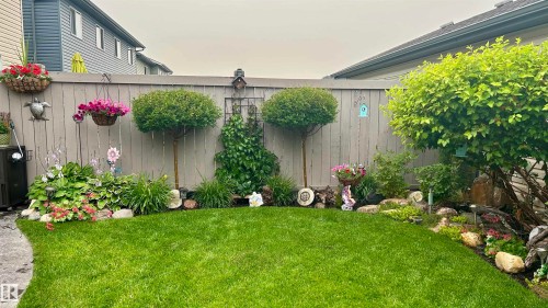 The property features a well-maintained lawn, a wooden fence, and diverse plantings along the perimeter - 2914 18A Avenue, Edmonton, AB - Outdoor