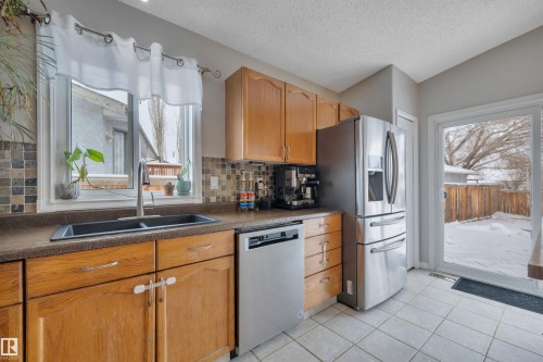 1003 49 Street, Edmonton, AB - Indoor Photo Showing Kitchen With Double Sink