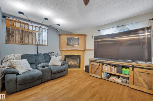 1003 49 Street, Edmonton, AB - Indoor Photo Showing Living Room With Fireplace