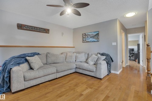 1003 49 Street, Edmonton, AB - Indoor Photo Showing Living Room