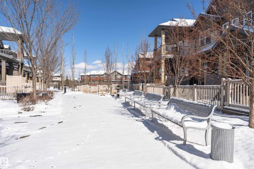 The property features a serene outdoor pathway lined with bare trees, benches, and fencing - 31 4029 Orchards Drive, Edmonton, autreother - Outdoor
