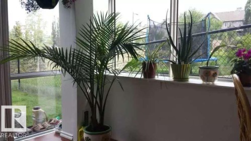 The property features expansive windows offering views of the surrounding green space and neighborhood - 1135 112 Street, Edmonton, AB - Outdoor