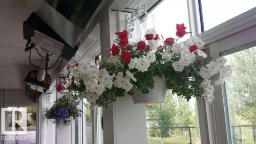 Glass paneled wall provides natural light and views of greenery - 1135 112 Street, Edmonton, AB - 