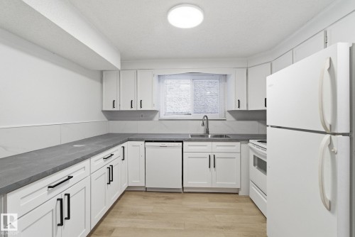 10226 154 Street, Edmonton, AB - Indoor Photo Showing Kitchen With Double Sink
