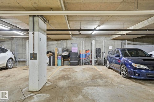 303 320 Ambleside Link Drive, Edmonton, AB - Indoor Photo Showing Garage