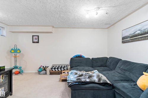 3320 48 Street, Edmonton, AB - Indoor Photo Showing Living Room