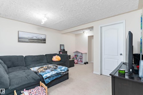 3320 48 Street, Edmonton, AB - Indoor Photo Showing Living Room