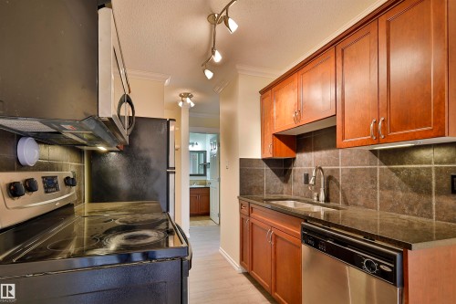 306 10160 83 Avenue, Edmonton, AB - Indoor Photo Showing Kitchen With Double Sink
