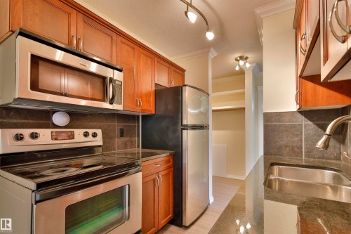 306 10160 83 Avenue, Edmonton, AB - Indoor Photo Showing Kitchen With Double Sink