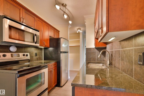 306 10160 83 Avenue, Edmonton, AB - Indoor Photo Showing Kitchen With Double Sink