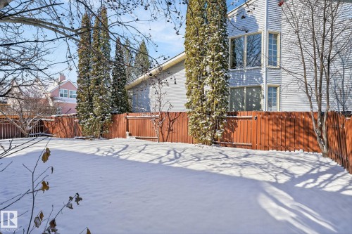 The property features a private yard with a brown wooden fence, evergreen trees, and a light-colored exterior with large windows - 5604 174 Street, Edmonton, AB - Outdoor