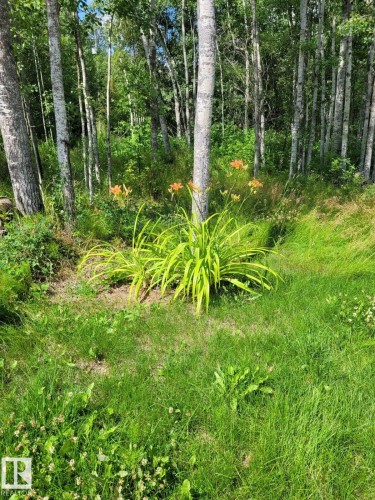 The property features a well-maintained lawn, complemented by a cluster of vibrant orange flowers and lush green foliage - 17 56110 Rge Road 13, Rural Lac Ste. Anne County, AB 