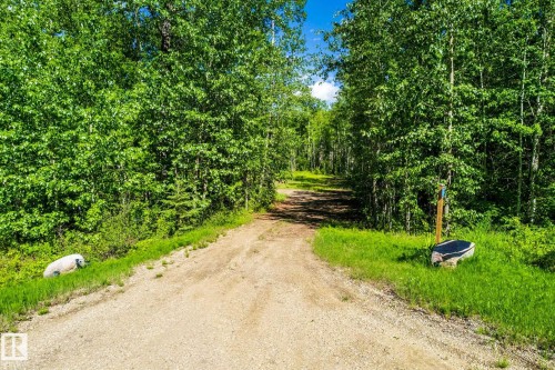 Gravel drive with surrounding mature trees and verdant groundcover - 17 56110 Rge Road 13, Rural Lac Ste. Anne County, AB 