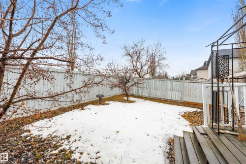 The property features a fenced backyard with a snow-covered lawn and mature trees - 1233 Ormsby Lane, Edmonton, AB - Outdoor