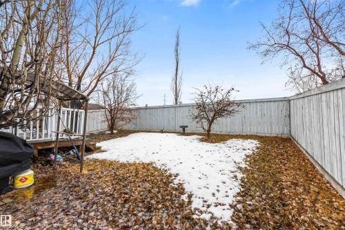The property features a fenced yard with a deck and mature trees - 1233 Ormsby Lane, Edmonton, AB - Outdoor