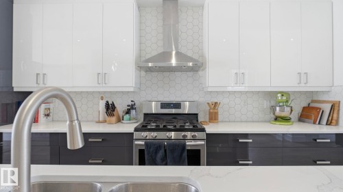 10817 75 Avenue, Edmonton, AB - Indoor Photo Showing Kitchen With Double Sink With Upgraded Kitchen