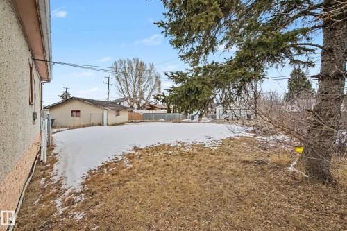 The property features a spacious yard with areas of snow cover and visible dry foliage, accompanied by mature evergreen trees - 9409 154 Street, Edmonton, AB - Outdoor
